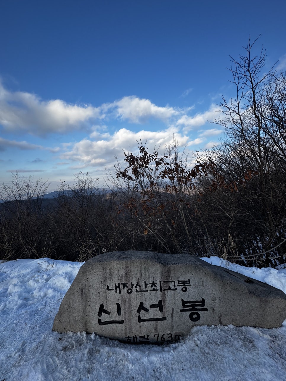욜로종합관리 이미지