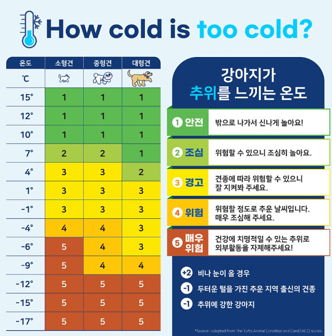멍냥사랑방 이미지
