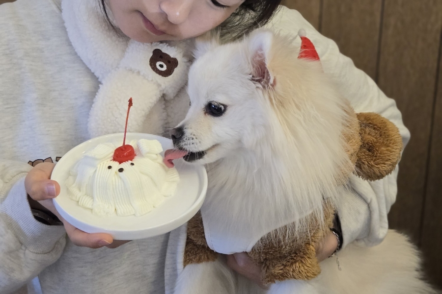 벨베데레커피 이미지