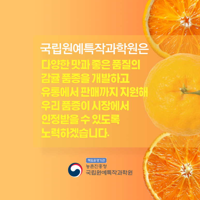 미래향 이미지