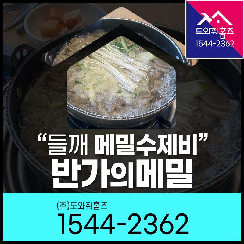반가의메밀 이미지