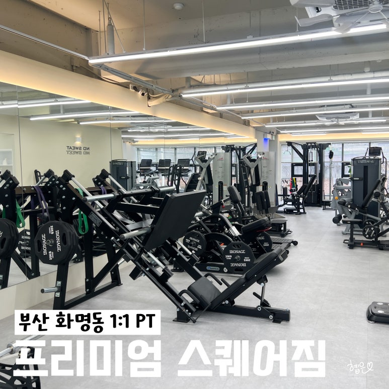 프리미엄스퀘어짐 이미지