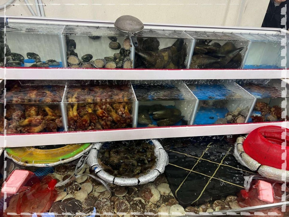 참치공주 이미지