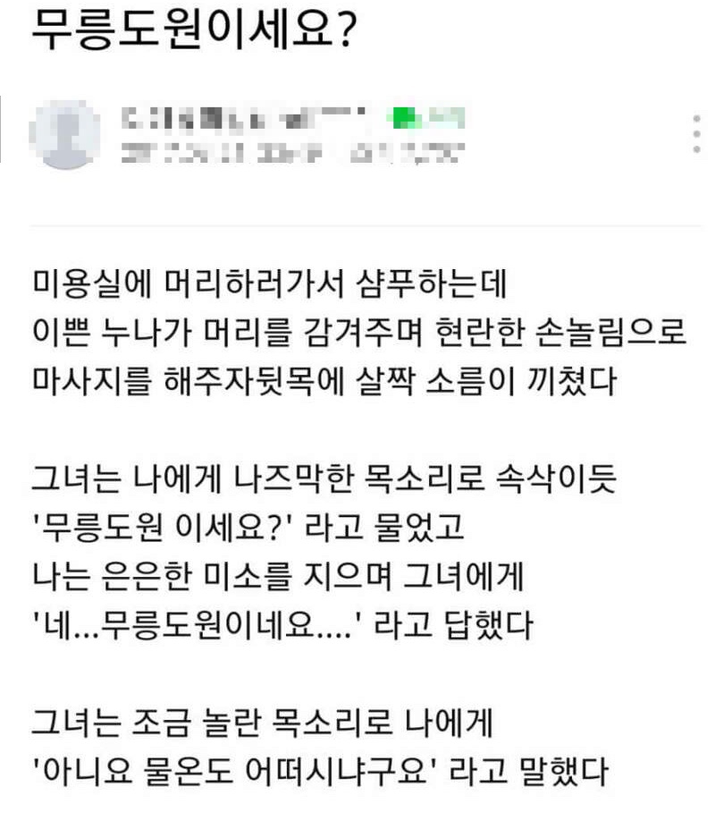도아헤어 이미지