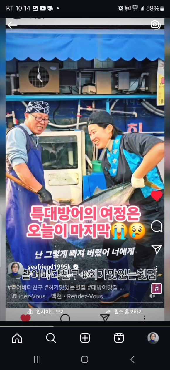활어바다친구 이미지