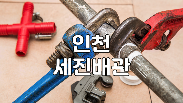 세진유통 이미지