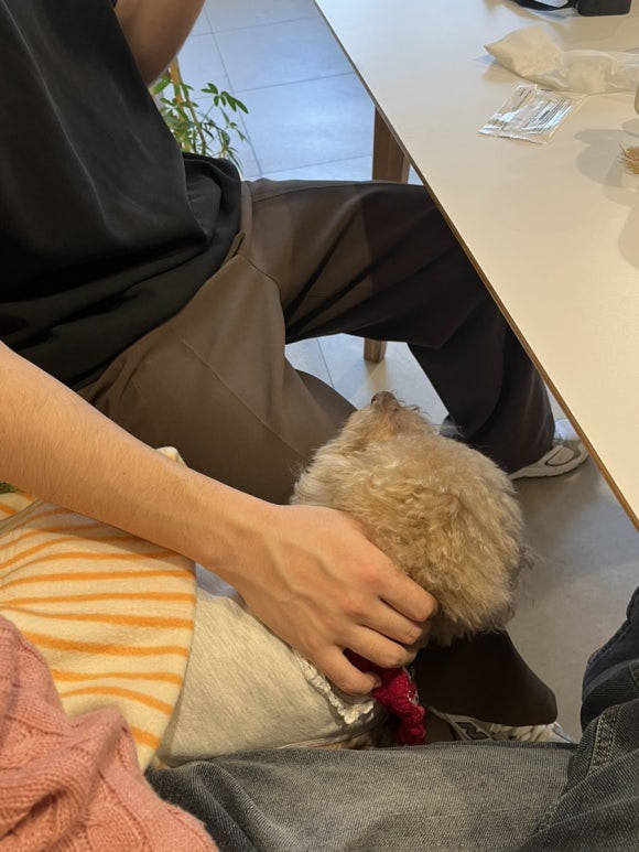 온어스(ONUS) 이미지