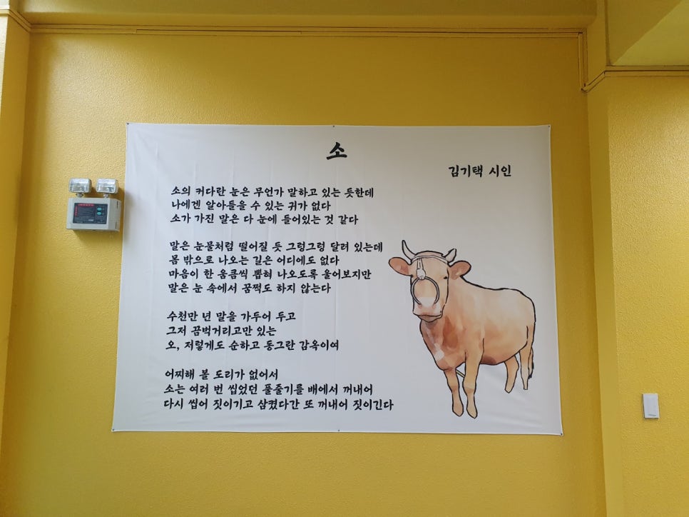 김*기 이미지