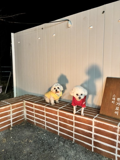 스테이한가로이 이미지