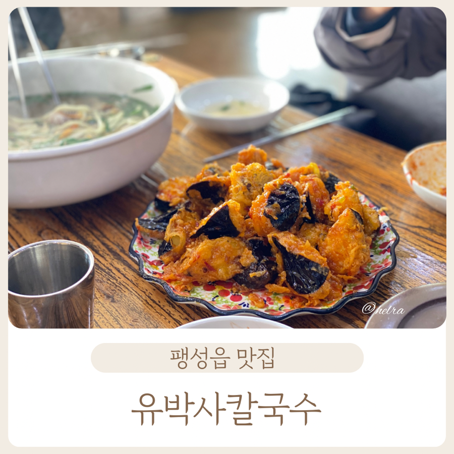 유박사칼국수 이미지