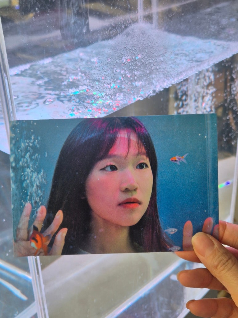 물들이다사진관 이미지