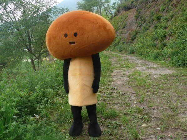 빨간모자피자고대점 이미지