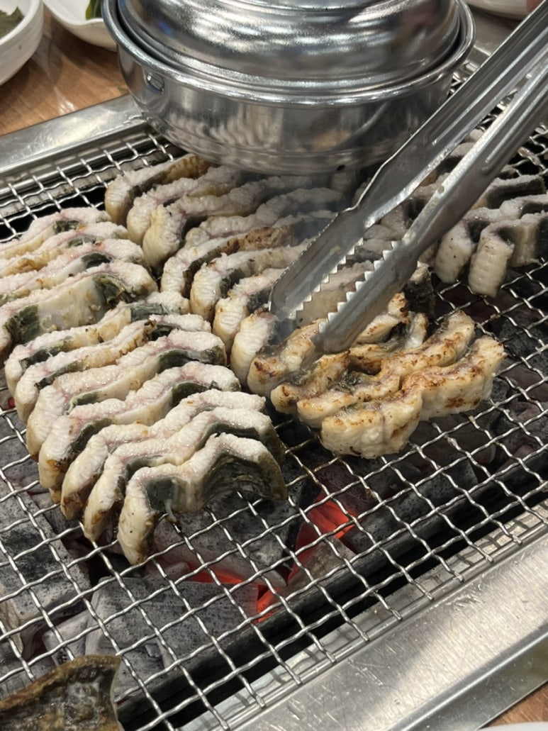항아리장어 이미지