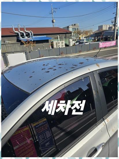 폭포세차 이미지