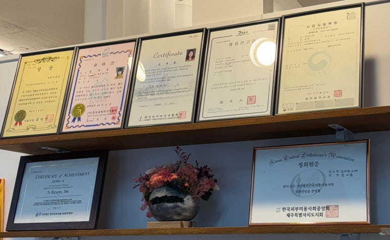 르미에스테틱 이미지