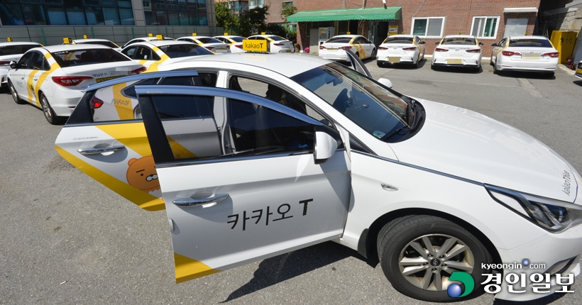 카카오블루 이미지
