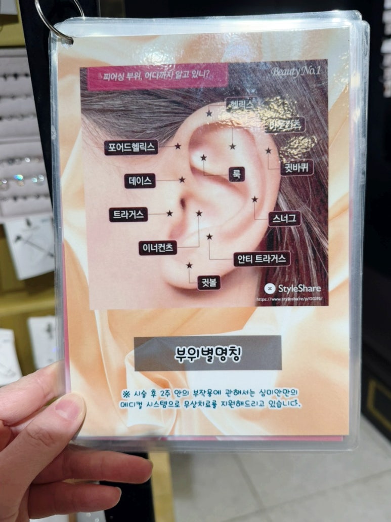 심미안학교 이미지