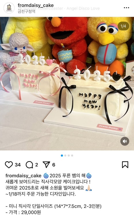 프롬데이지 이미지