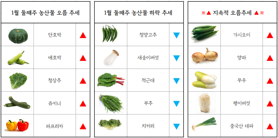 부산유통 이미지