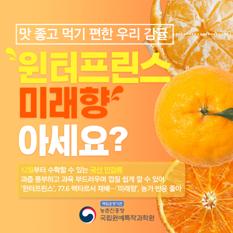 미래향 이미지
