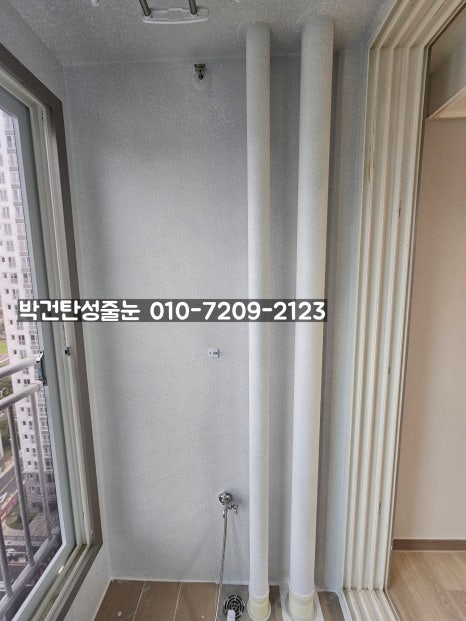 스타페인트 이미지