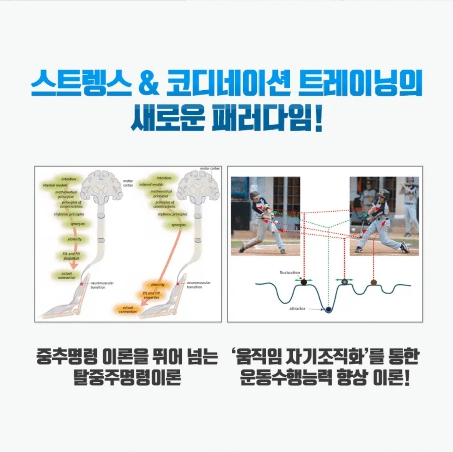 STC 이미지