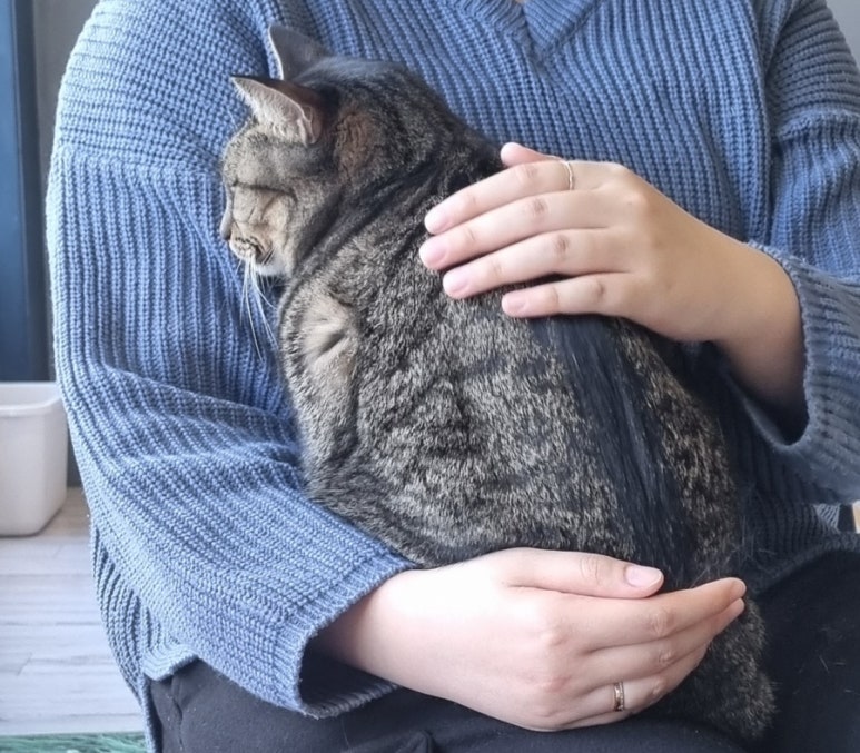 캣츠앤미 이미지