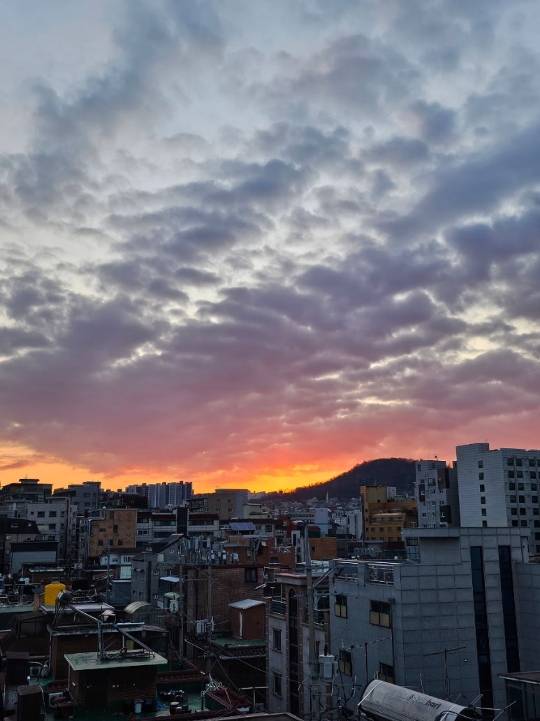 크로스핏라이크 이미지