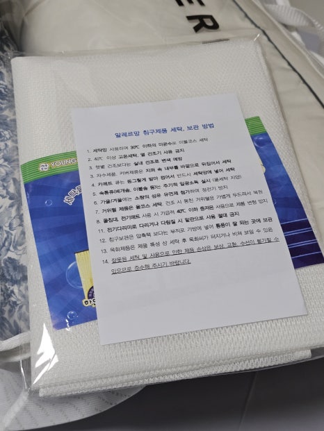 알레르망대전 이미지