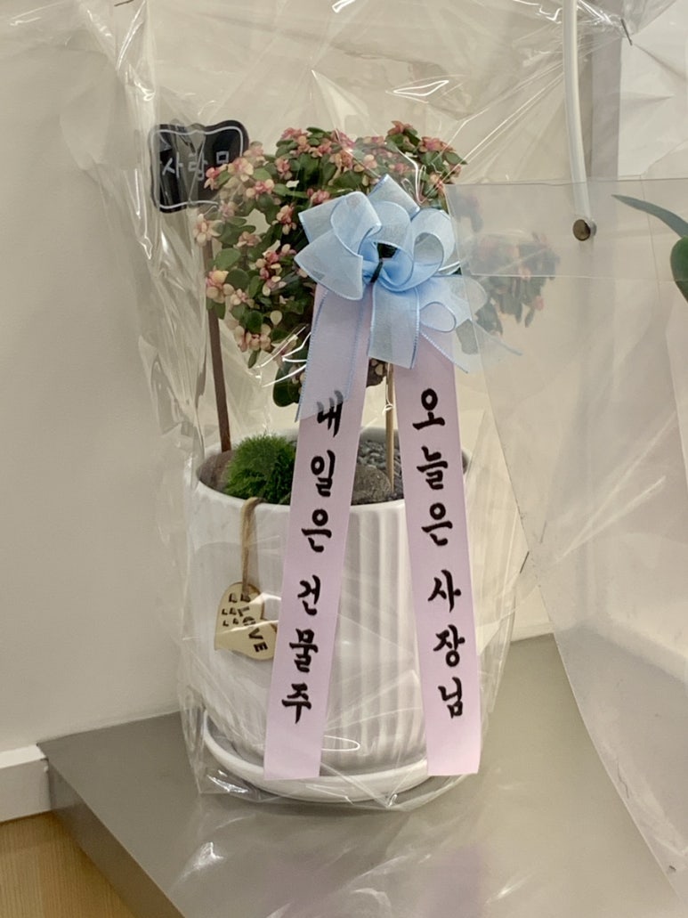카페게이트대전 이미지