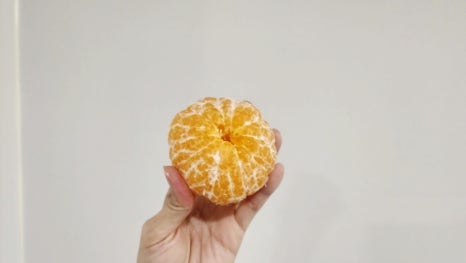 신세계농원 이미지