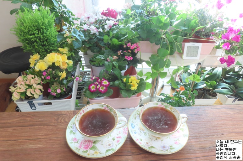 사과정원 이미지