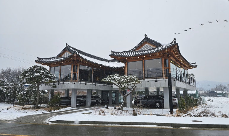 초평가배 이미지