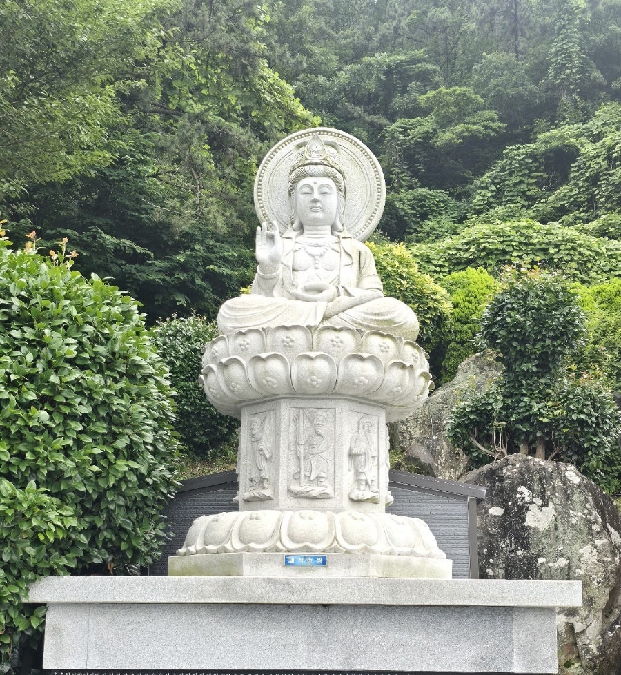 (주)도리천 이미지