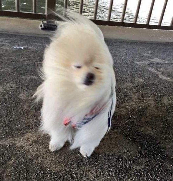 스윗홈 이미지