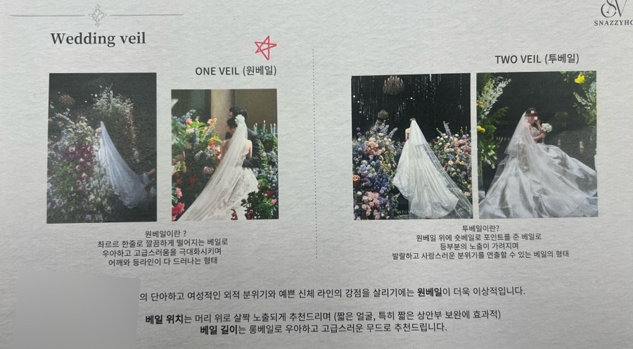 스네지호 이미지