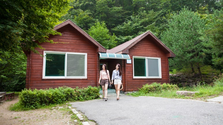도사곡휴양림야영장 이미지