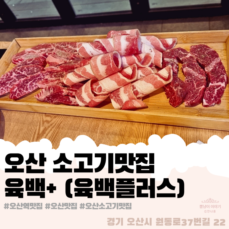 육백플러스 이미지