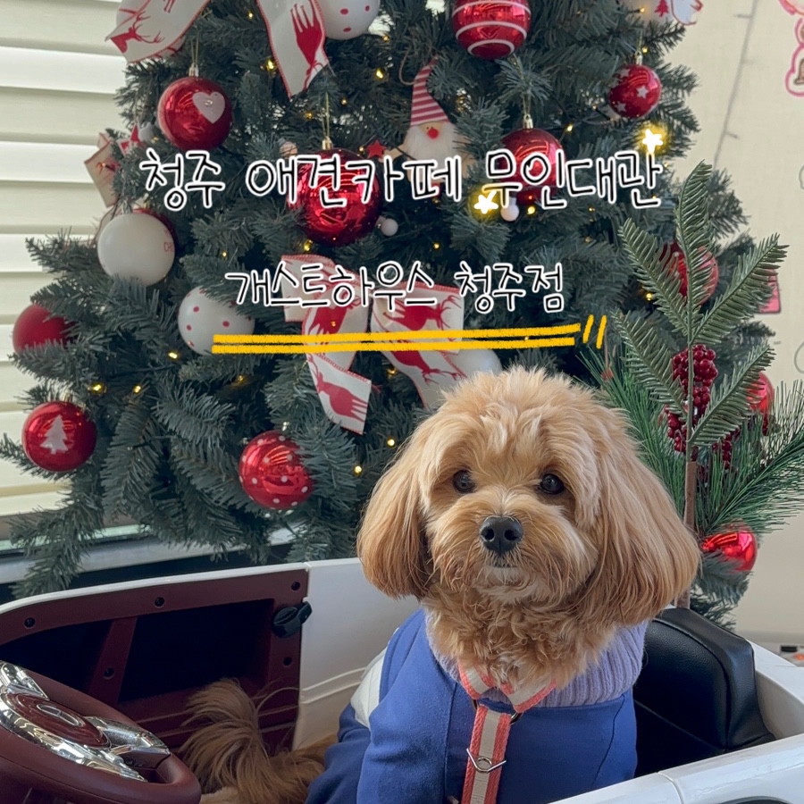 개스트하우스 청주점 이미지