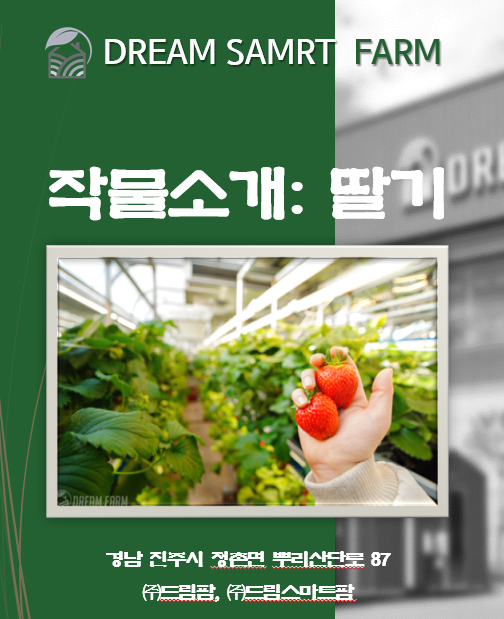드림큐브시스템 이미지