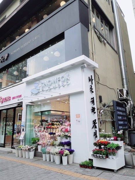 스노우폭스플라워 이미지