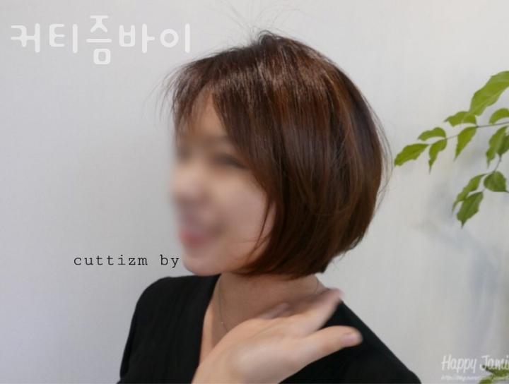 커티즘바이 이미지