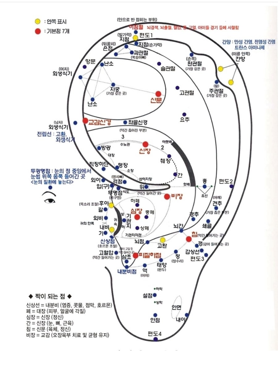 국제이침협회 이미지