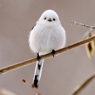 꼬지닷컴 이미지