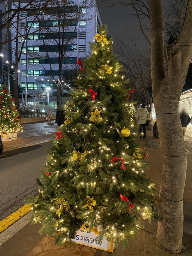 족발야시장창동역점 이미지