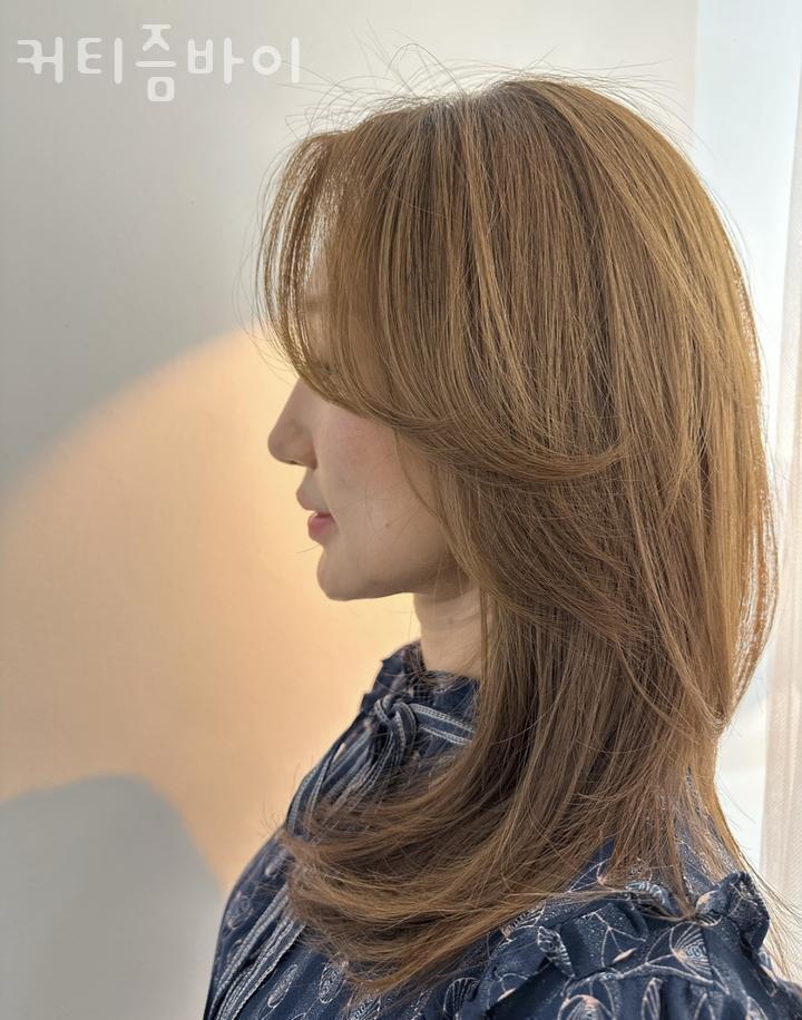 커티즘바이 이미지