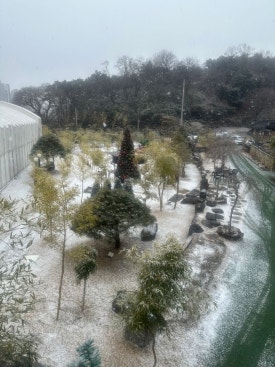 쌍청고기마을 이미지