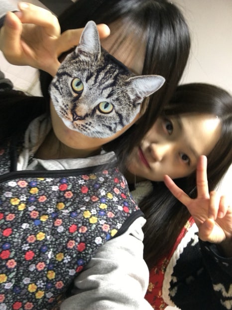 상하이노래빵 이미지