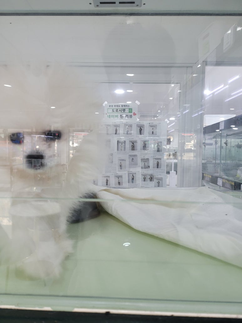 구미도로시 이미지