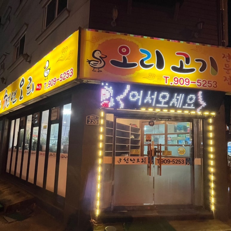 천년오리 이미지